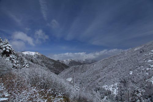 強冷空氣致神農(nóng)架驟降“桃花雪”