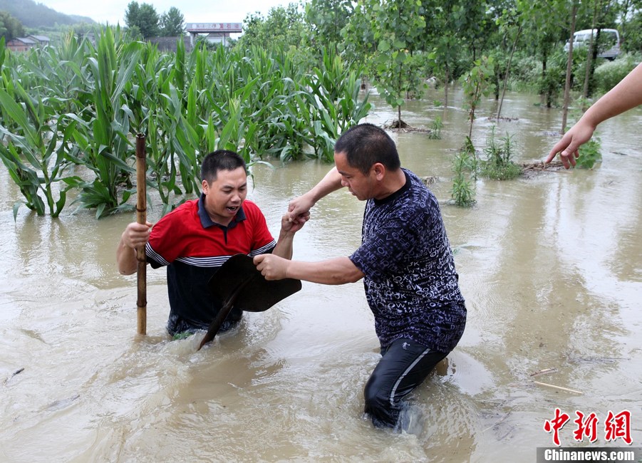 南方近日連遭強降雨 浙江發(fā)布首個暴雨黃色預警