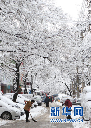 暴雪致京滬及滬寧等高鐵降速運(yùn)行 多趟高鐵停運(yùn)