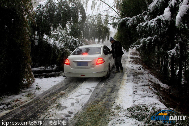 黃山暴雪 最大積雪深度超56厘米