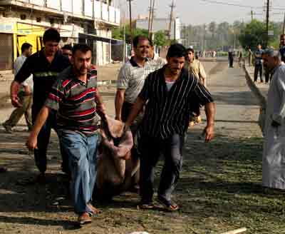 Iraqi men carry a dead body after a suicide bomb attack in the Athamiya district of Baghdad April 29, 2005. Four car bomb attacks targeting Iraqi security forces killed 13 people and wounded 50 others in Baghdad on Friday, police said, piling pressure on Iraq's new government a day after it was formed. [Reuters]