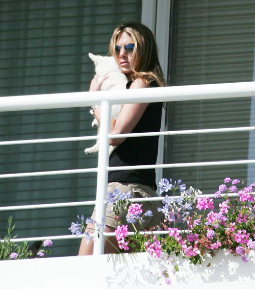 Jennifer Aniston's new pet pooch