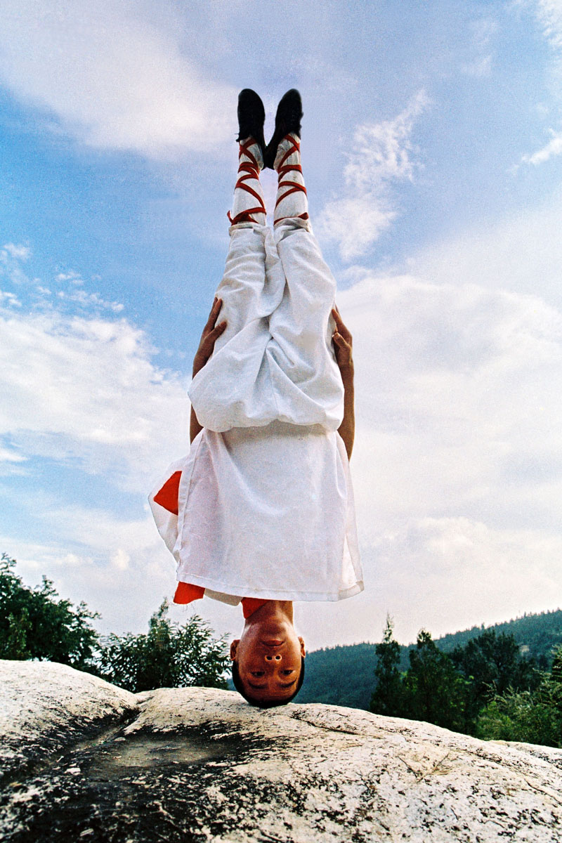 Shaolin Kungfu