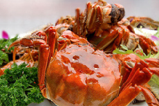 Special: Hairy Crabs