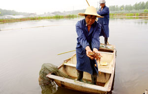 China to ban 13 kinds of chemical-laden health food