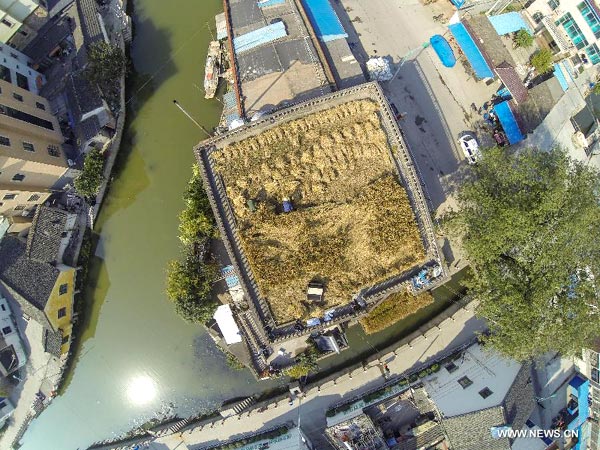 Villager turns his house roof into farmland