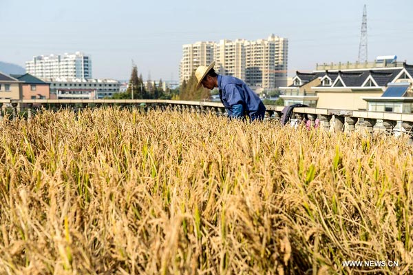 Villager turns his house roof into farmland