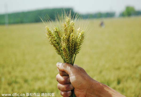 Chinese consume too much food from animals, experts say