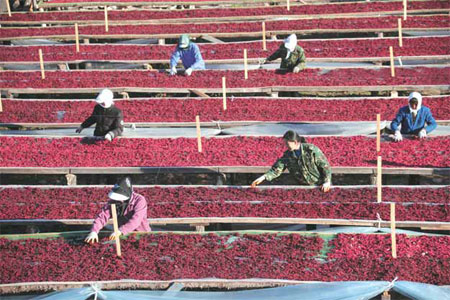 Natural growth from Heilongjiang's farms