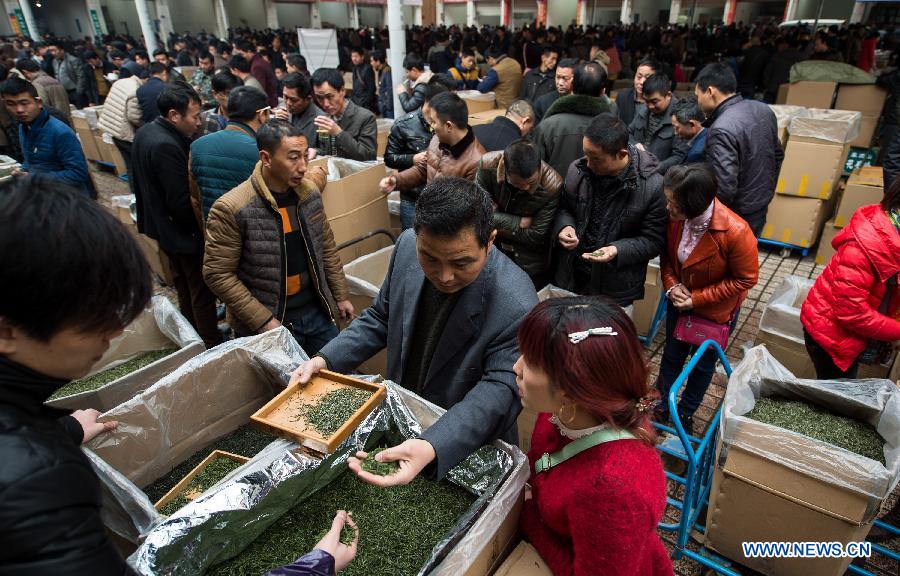 Farmers make tea before Qingming Festival