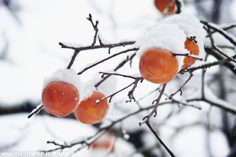 10 traditional foods that make Beijing's winter merrier