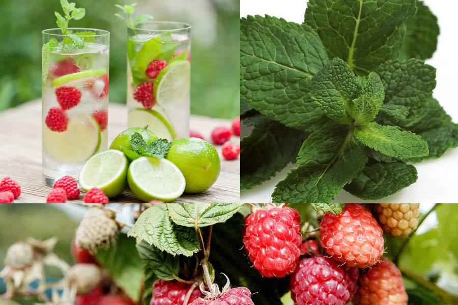 100% Natural DIY: seven 'detox waters' for summer