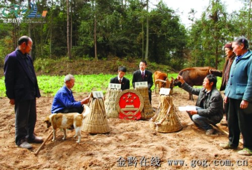 法官背國徽走山路到田間地頭開庭