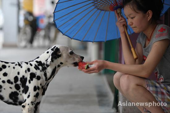 Scorching heat ravages China, prompts algae blooms