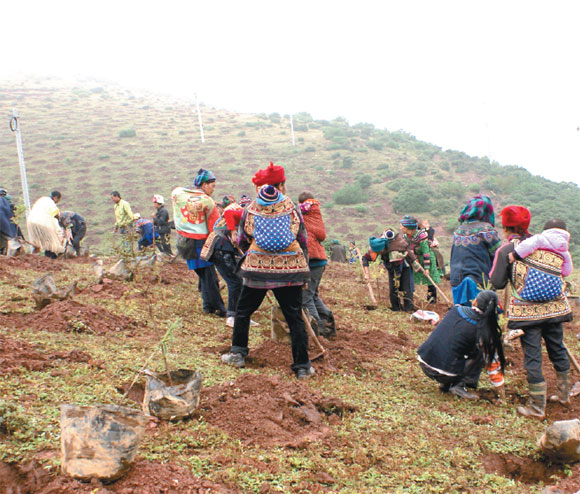 Novartis to tackle climate change with Sichuan tree planting project