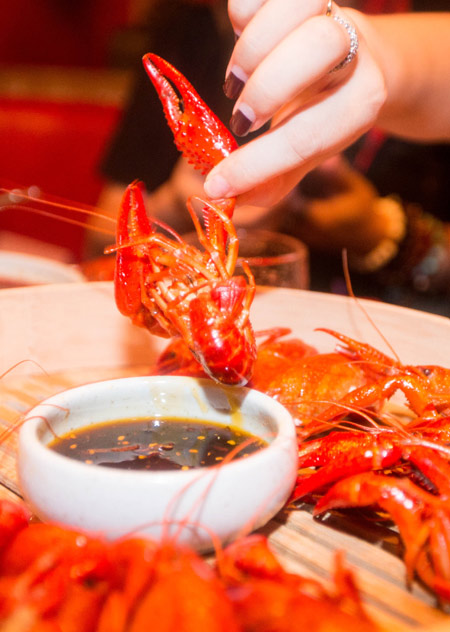 Ode to crayfish as a cure for smartphone addicts