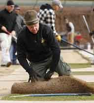 Yard work: When people choose sod over seed