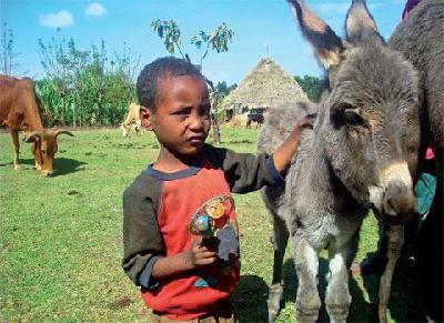 Ethiopia's low-tech, high-value transportation