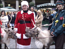 Reindeer Petting 慶圣誕之撫摸馴鹿