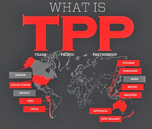 什么是“TPP”？