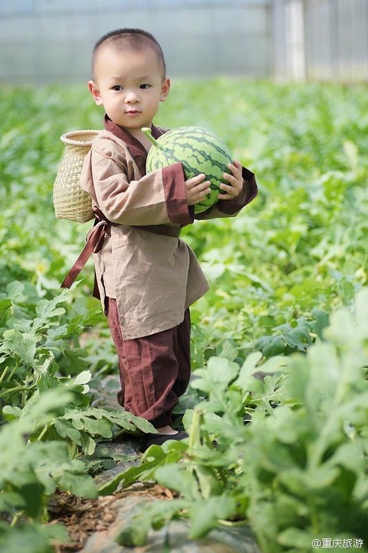 2歲萌娃吆喝自家西瓜 這個“瓜娃子”要火！（組圖）