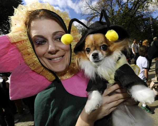 Halloween Dog Parade