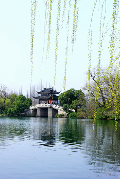 Hangzhou's West Lake Springs to Life