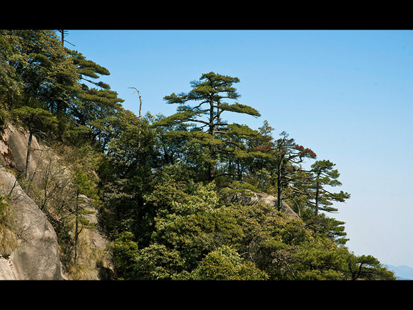 Mount Sanqingshan National Park