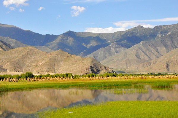 Harvest season in Tibet