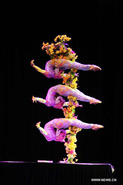 Yunnan Acrobatics Troupe perform in India