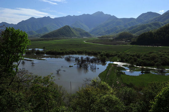 Fantastic view of Dajiuhu Lake Wetland Park