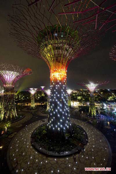 Light and sound show brightens Supertrees Grove in Singapore