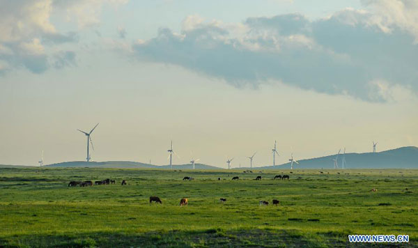 Tranquil Xilin Gol grassland in summer