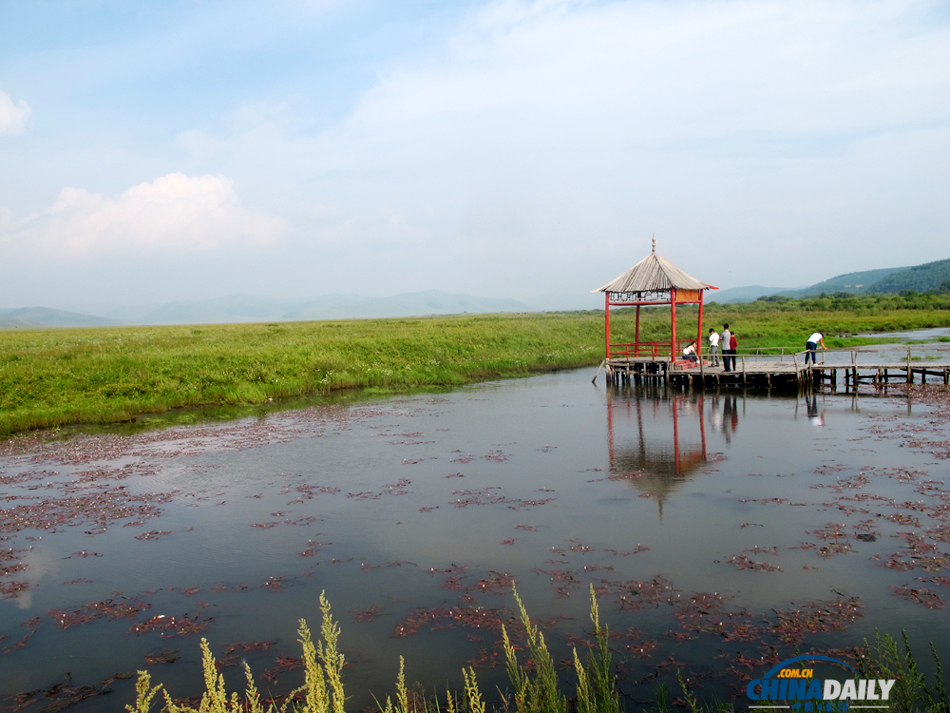 Picturesque view of Saihanba