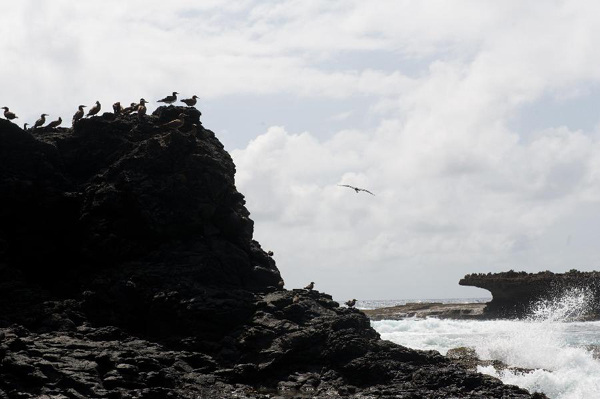 View of Fernando de Noronha Archipelago of Brazil