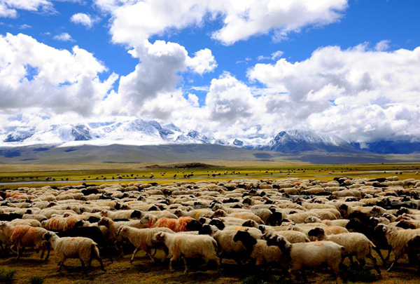 Autumn scenery in Xigaze prefecture, China's Tibet