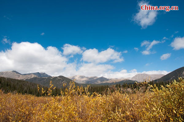 Rocky Mountains after first snow