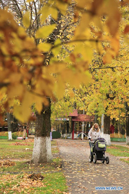 Autumn season in Belarus