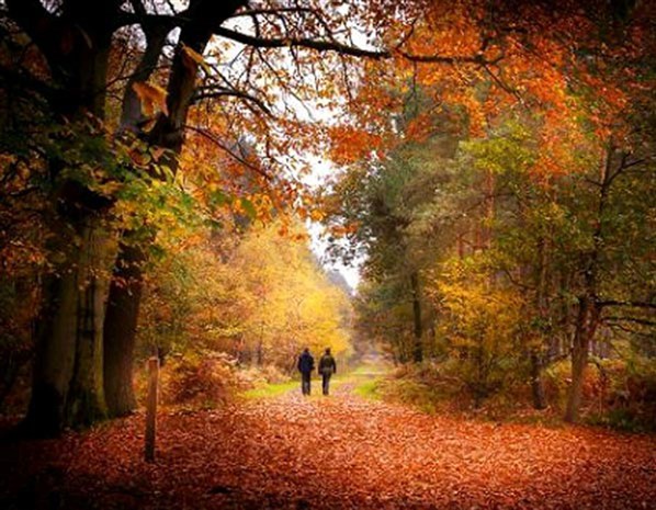 UK Autumn snaps