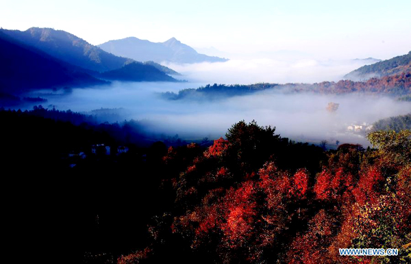 Fog-covered countryside residences in Huangshan