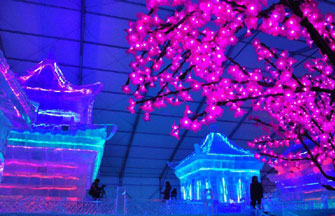 Shenzhen Spring Festival flower fair opens