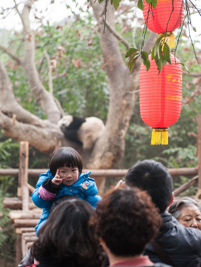 Panda-themed carnival delights tourists in Chengdu