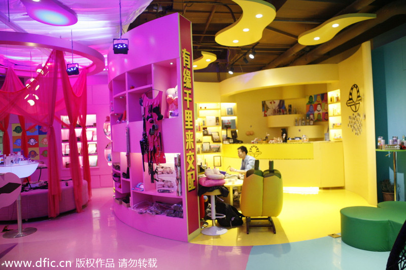 China's 'most beautiful' sex shop