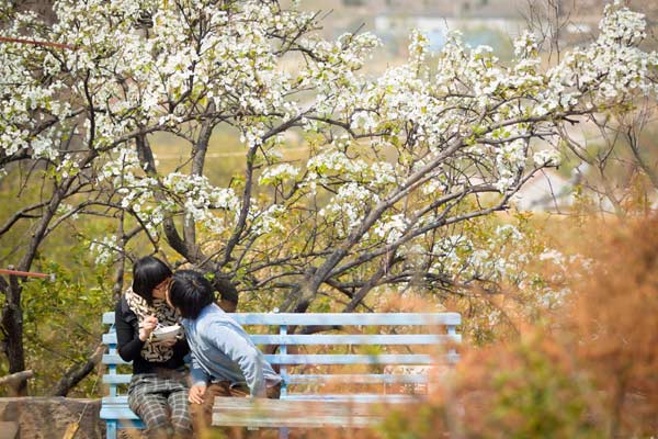 Couple create self-sufficient love nest