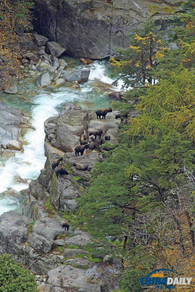 Snapshots of Dulong River Valley