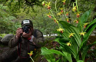 Snapshots of Dulong River Valley