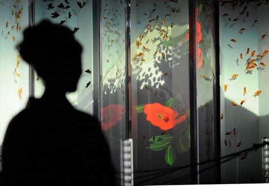 Tokyo exhibition features 5,000 goldfish