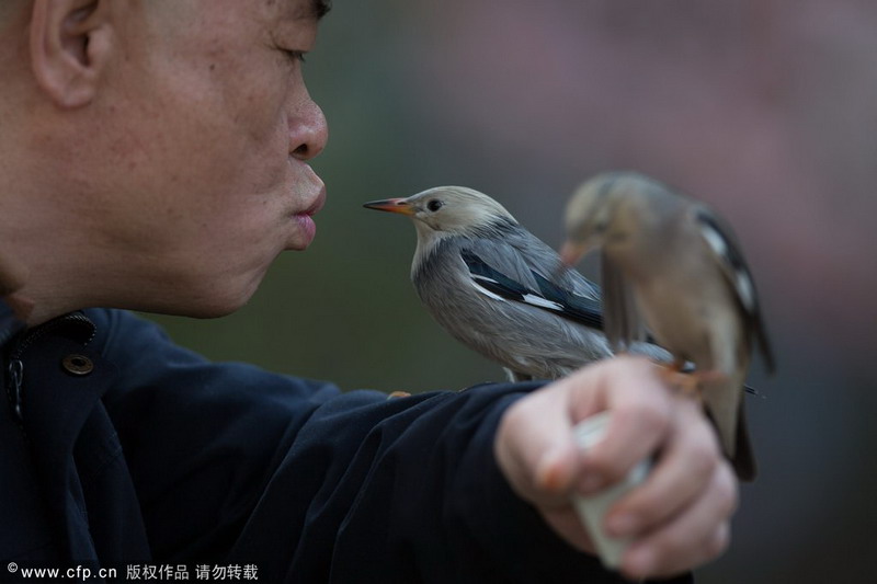 New pet favorites for the Chinese