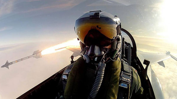 Pilots' selfies go viral online