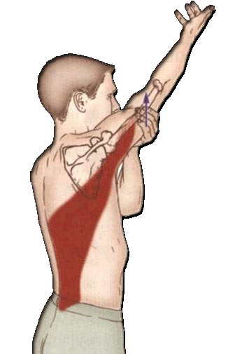 Nine ways to stay away from shoulder pain